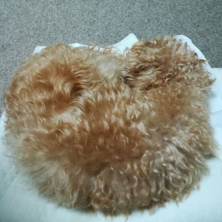 C5d757a7 114f 470b 82e4 9c4aaad51440 1539176178340