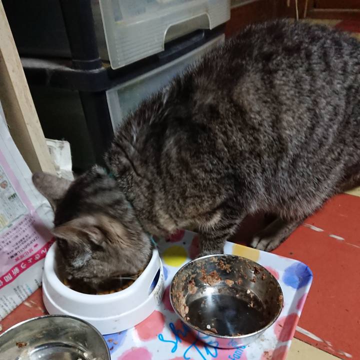 C5d76d29 6b85 424c 8db6 f47174432495 1553074833180