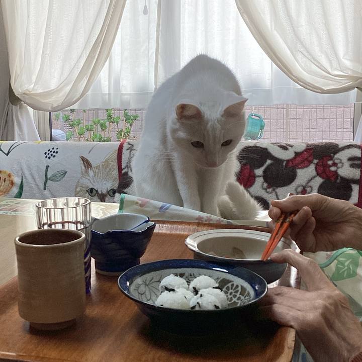 C5d773d8 5cc3 44f2 a83b c992dfbcd25e 1678939953053