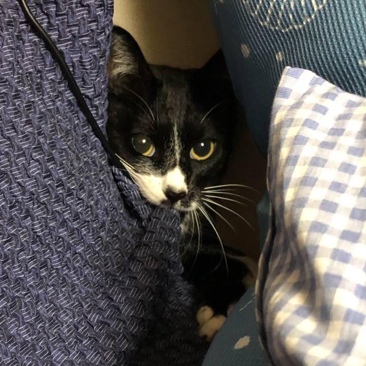 C5d7f071 e059 4274 a464 cef392978fa8 1632800986962