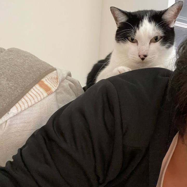 C5d80b27 00a8 4a26 80b6 73968fdbe352 1663909452453