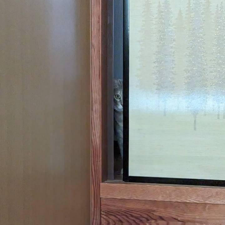 C5d82a49 540f 40df 8905 72b37a688c87 1698033056194