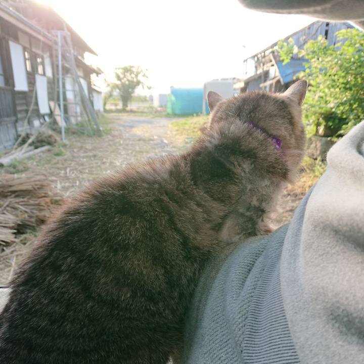 C5d82fa5 ca3e 460c 860a cfd2c437a3e5 1591648369382