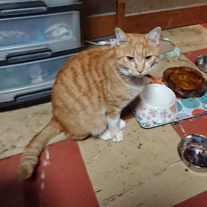 C5d86277 d7c9 4e5e 82b1 8dadf9d60a39 1574240162589