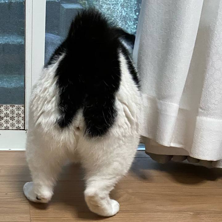 C5d87428 3da8 43e7 b873 f9df806682eb 1592133442438