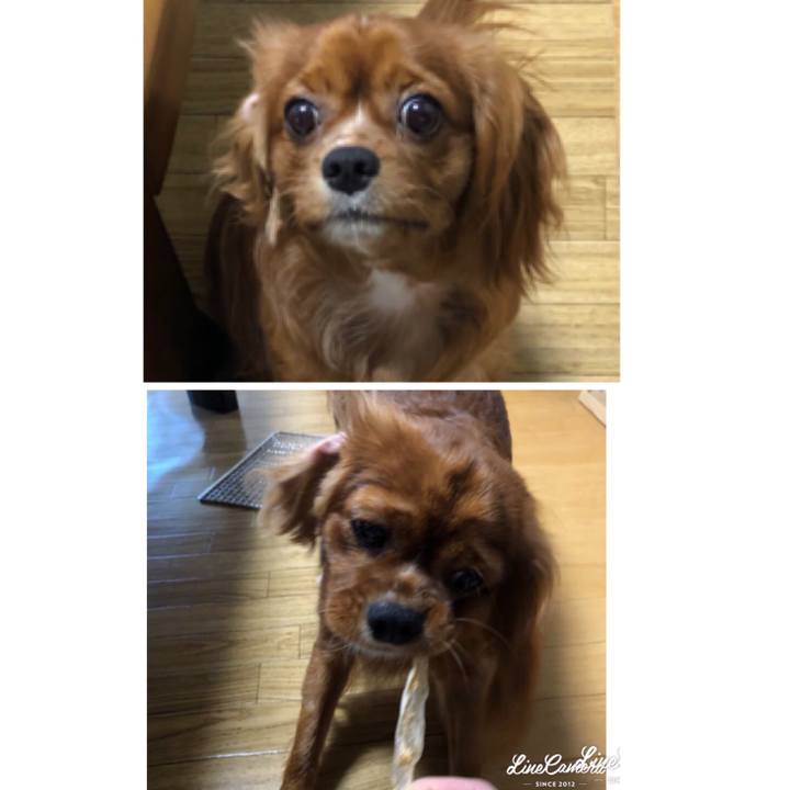 C5d8772a 2a78 4c25 b493 74c277659675 1531567278168