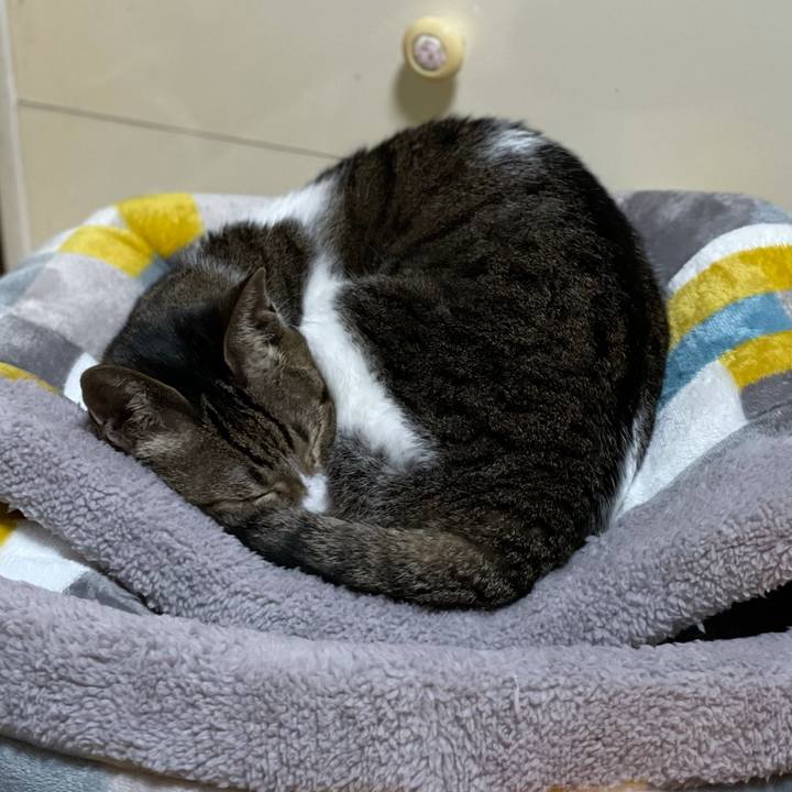 C5d889c4 1f45 4002 8d5a 42505758b609 1610933959380