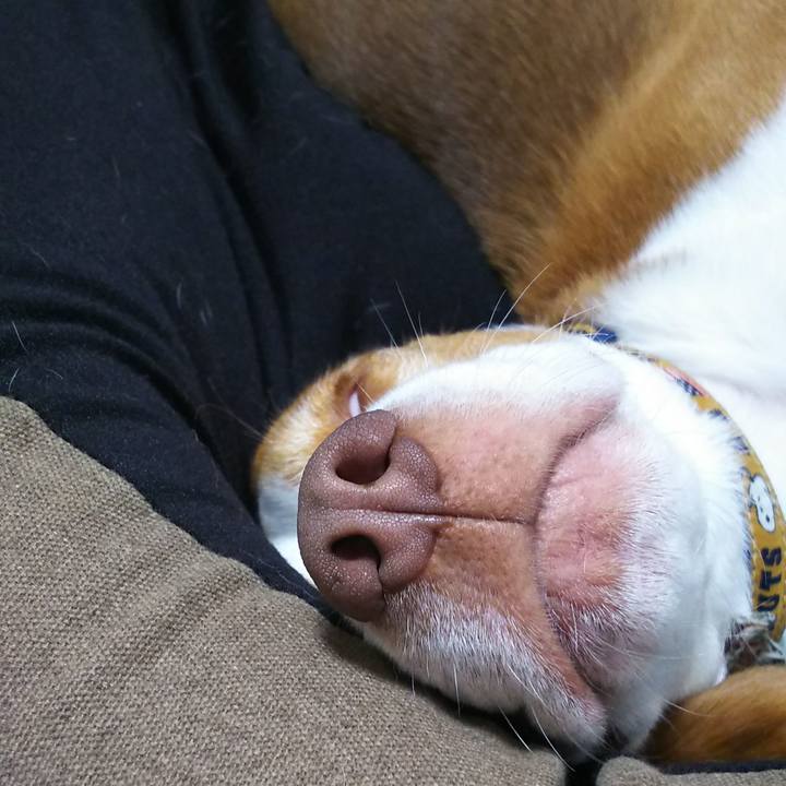 C5d889df e200 46c6 9f0b 3201024f79fc 1592135241531