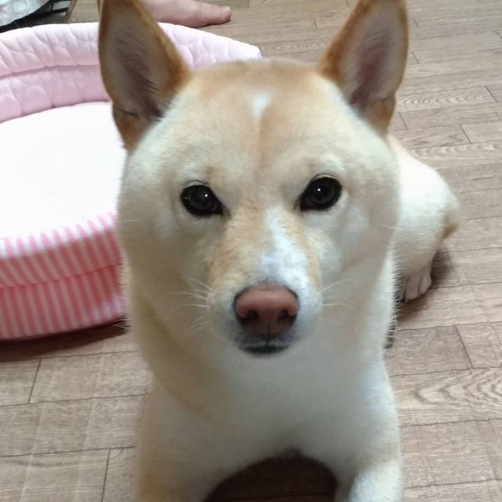 C5d90b64 4aed 4f81 be1d cec8eb4da94a 1592516936664