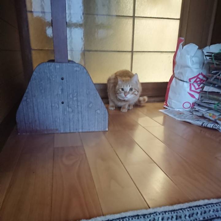 C5d91cea 0ba7 46a7 81a6 0e7081d2ef2b 1646038562360