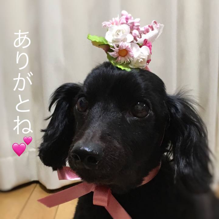 C5d920d4 64b6 4aea 8b63 70315f7d71ef 1516833443971