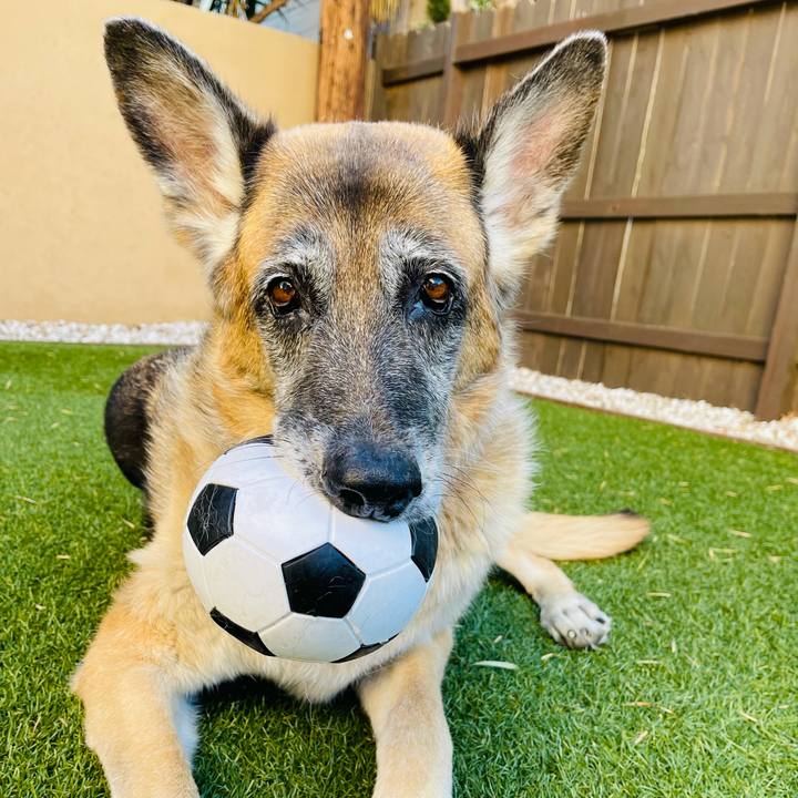 C5d922fa f860 418e 91be 63c3593a8c16 1623719771301