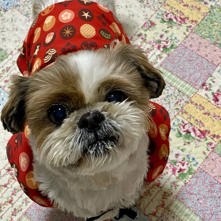 C5d92408 5b73 4c74 b478 6b9181e3f135 1641005062990