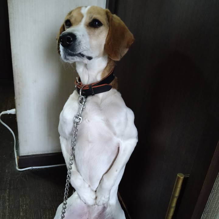 C5d97074 bbc0 47e0 ac9b 4ac9ea95e872 1642410171843