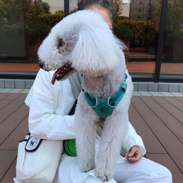 C5d982b7 3118 45a3 8b44 1f64f4adaf0e 1683182875302