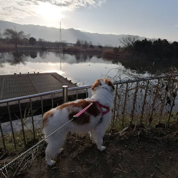 C5d9d453 9427 4587 a9e8 a15c13cf89c2 1583452791273