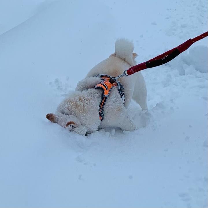 C5d9d634 bb9f 4d60 bc09 e79983f71d94 1672616331941