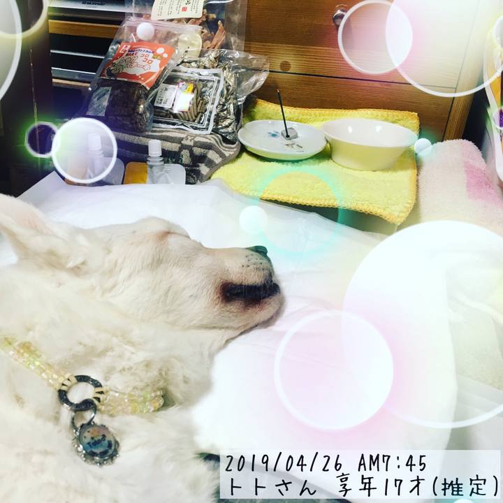 C5da0bf3 387e 4781 b236 dfa73b75ae12 1556241286670