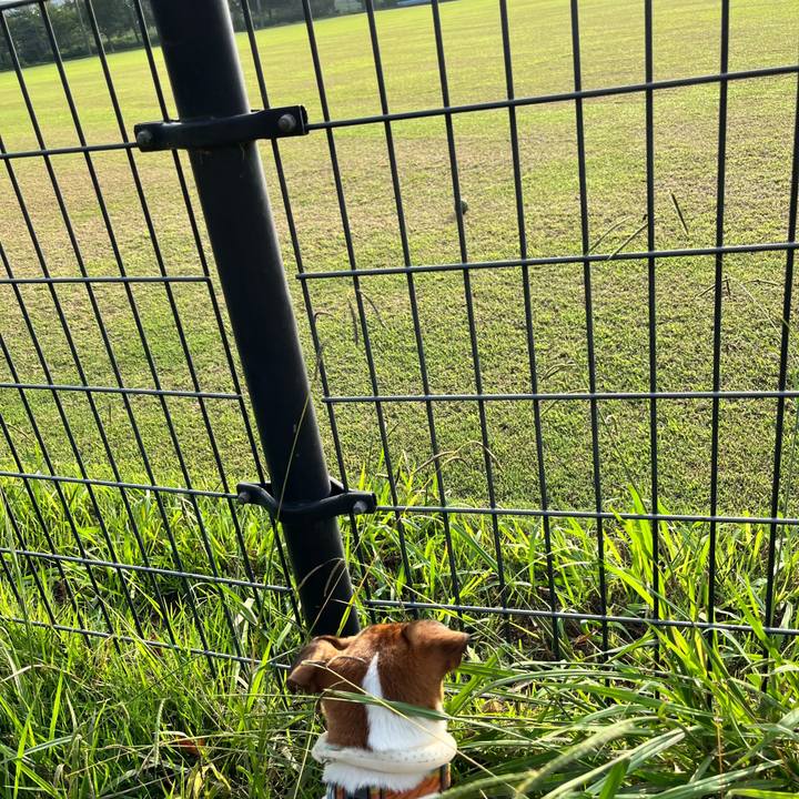 C5da4e36 c873 45aa 9686 1dfda97431e0 1726574703019