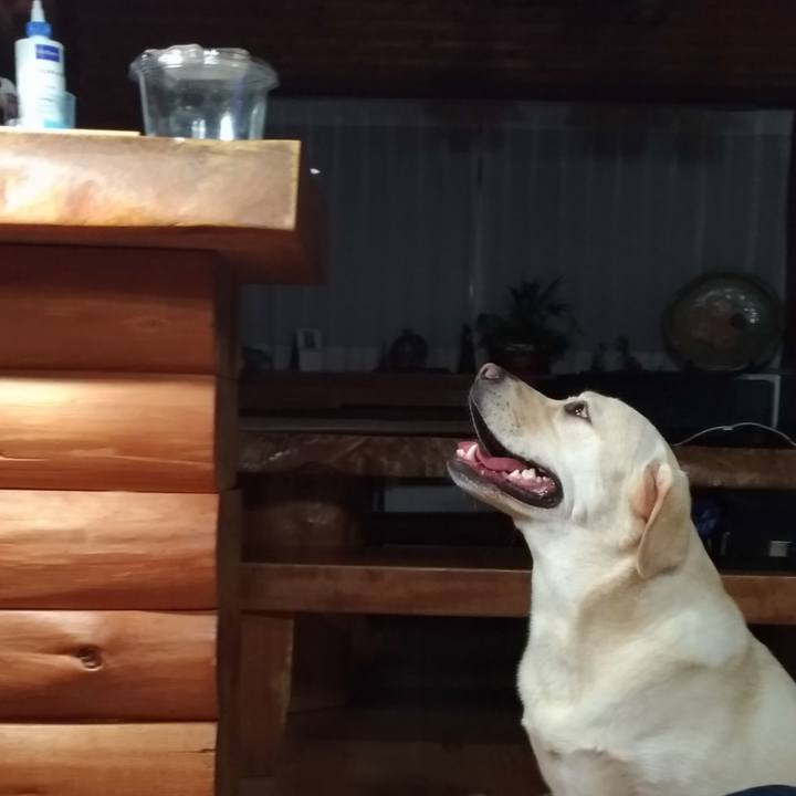 C5da4f77 cfb8 4931 b584 4b33ba229b04 1537617871640