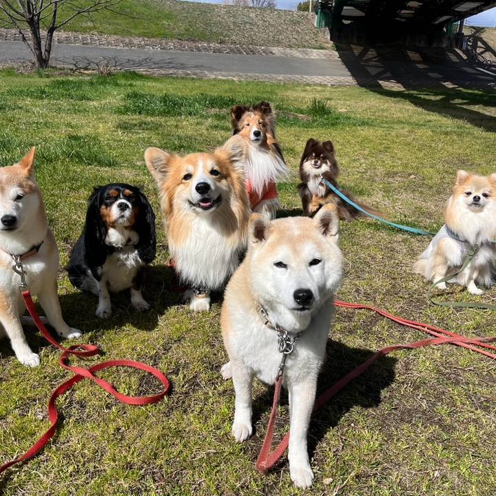 C5da7275 7de4 4f16 a597 fc32006b0b9a 1774185341815