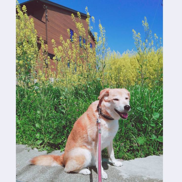 C5da8acf f6d9 4d24 961c 60bb031c4025 1585195825286