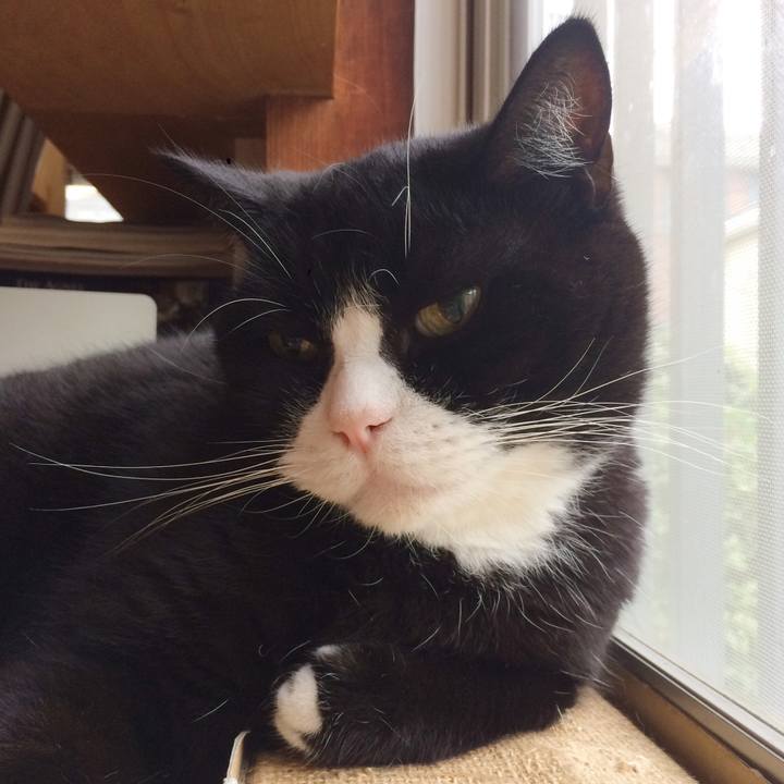 C5db0688 6159 4cba 8131 cf0bf7a3da45 1507941953224