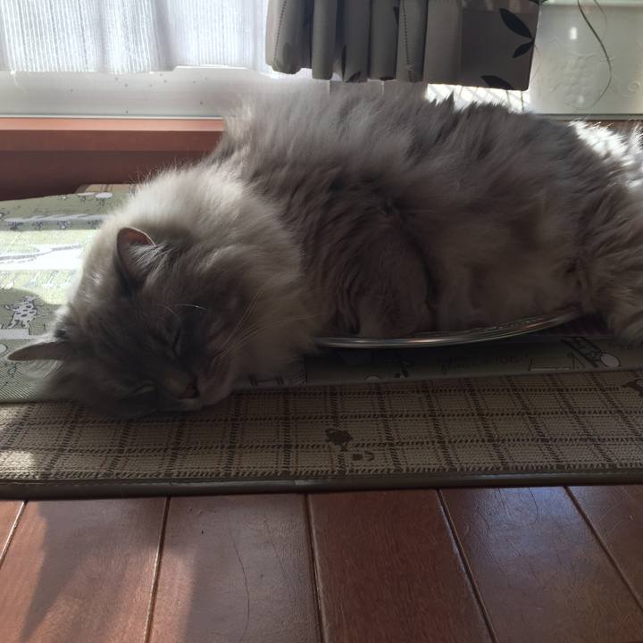 C5db0b98 bc72 43c8 b8ee c0550bcddbb1 1517308860757