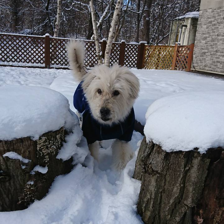 C5db4bfa b534 497a a88b 2582f5e0b8fa 1578215576886