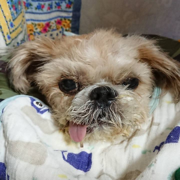 C5db7a74 4342 4320 a180 66f63481f850 1586339335602