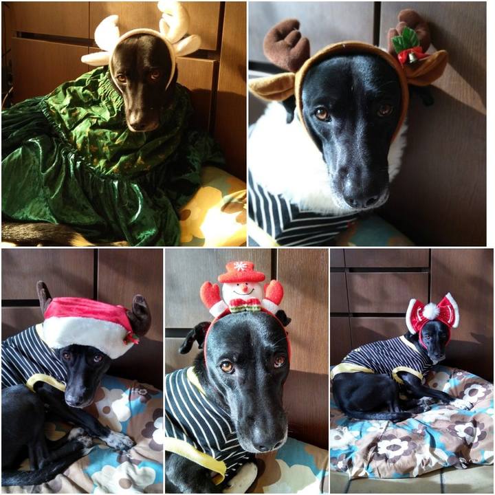 C5db84b9 2b07 4fb8 bc7f 229a782ac676 1608359877960