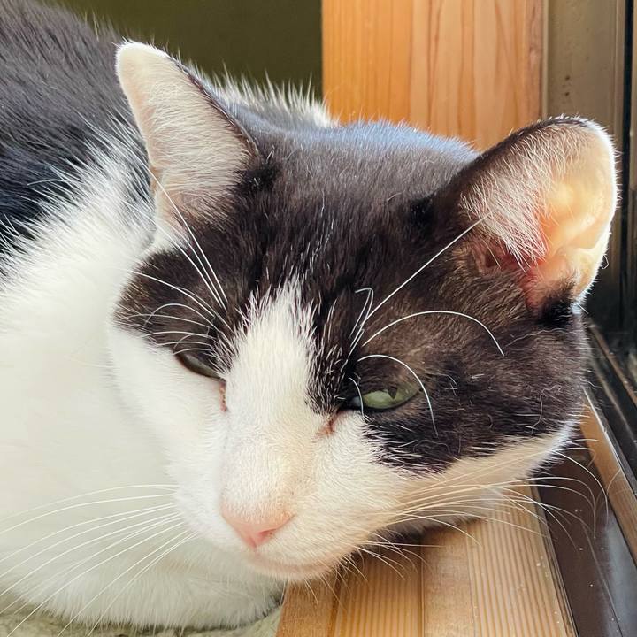 C5dbc1bf 8033 43ec 825f 20e532385807 1636766791887