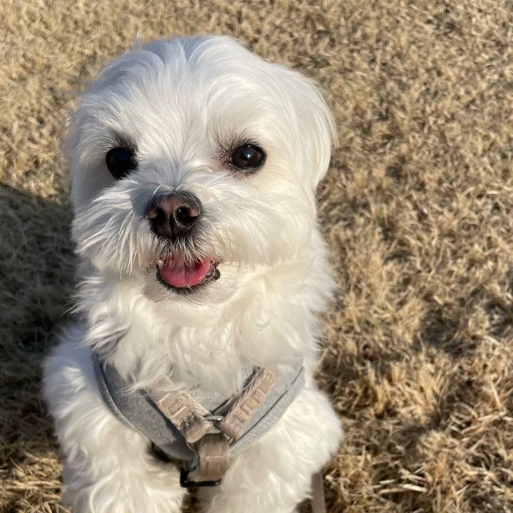 C5dbed44 5e69 47b8 b7ed 70260ce307e0 1768654455962