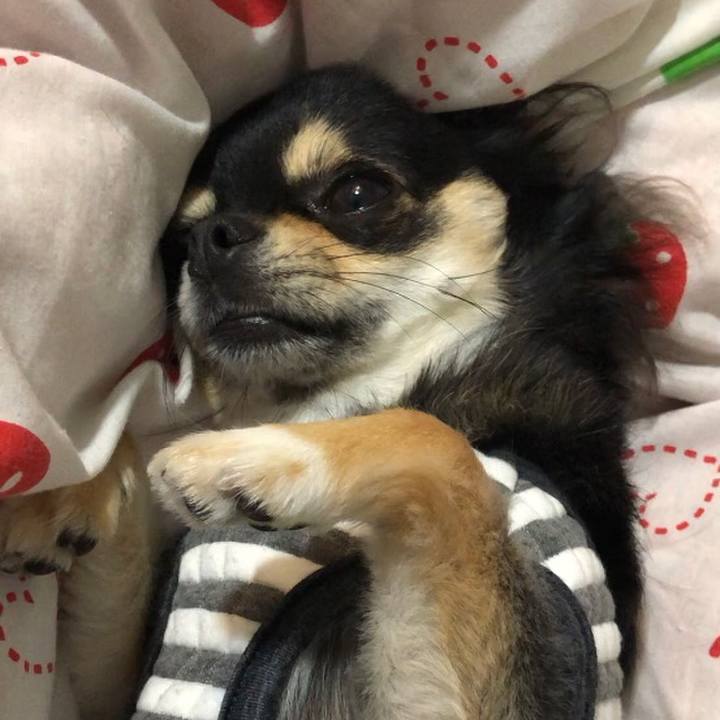 C5dc61cb 5929 4062 a6db 745428907197 1573081897119