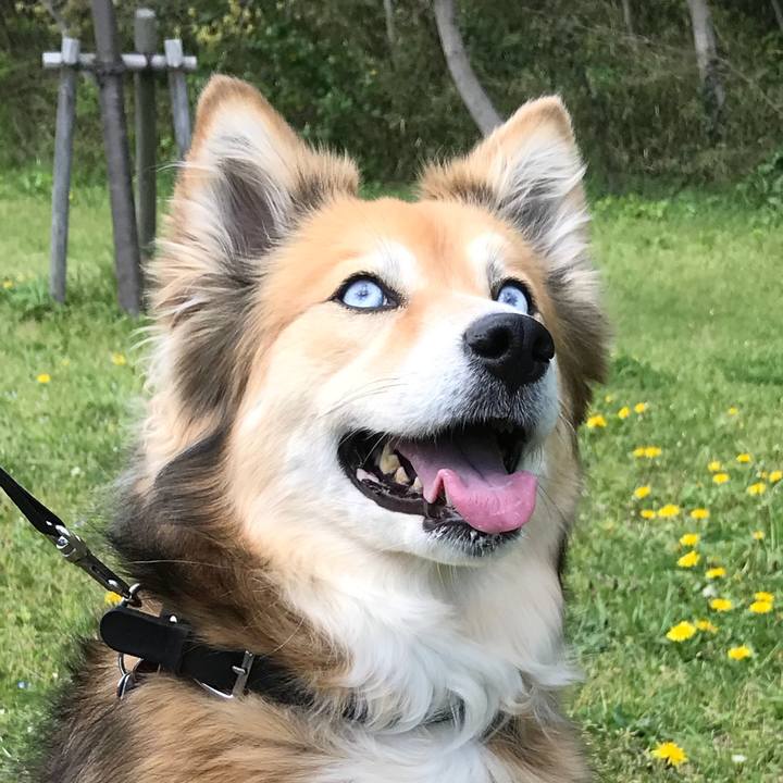 C5dc6463 244b 476c af70 a37f505a370d 1523188143222