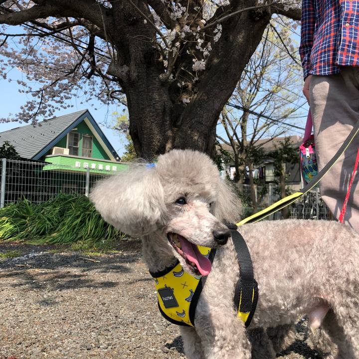 C5dc65e4 124c 4292 98c8 87ad7e1e9fdc 1522211748278