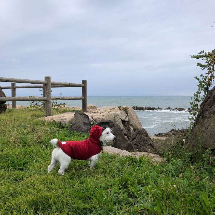 C5dc662d 054a 4384 9981 f9c1d803b9b6 1602719502674