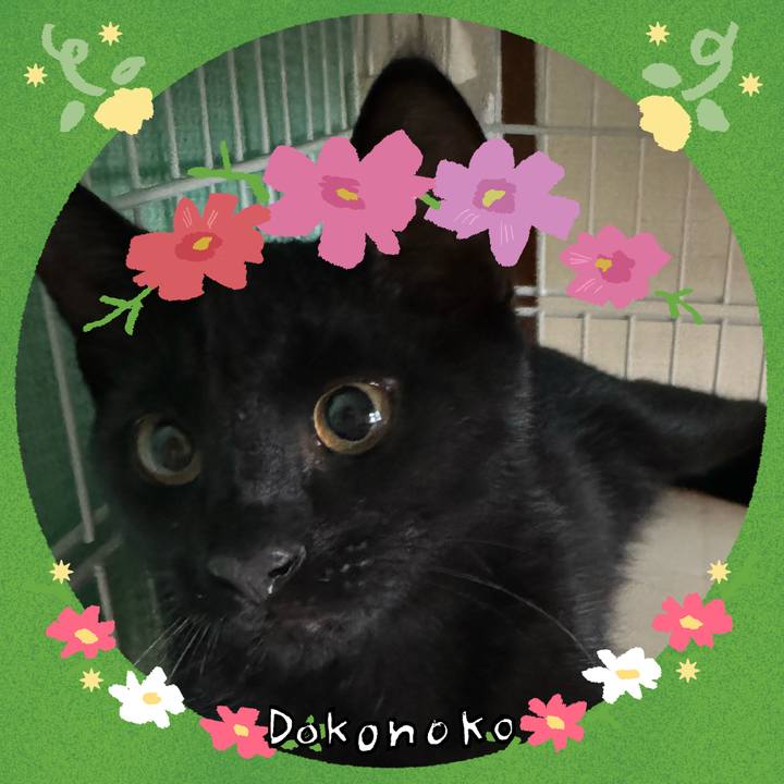 C5dc71c4 13fb 42a4 ae6f 1171f1decf86 1726807939412