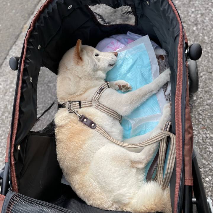 C5dc9480 628f 4c52 961a fc815258e826 1647759389940