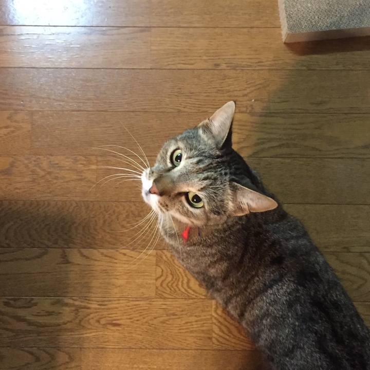 C5dcceef ebc6 4f95 bbbf 987b5f7b9636 1553203462012