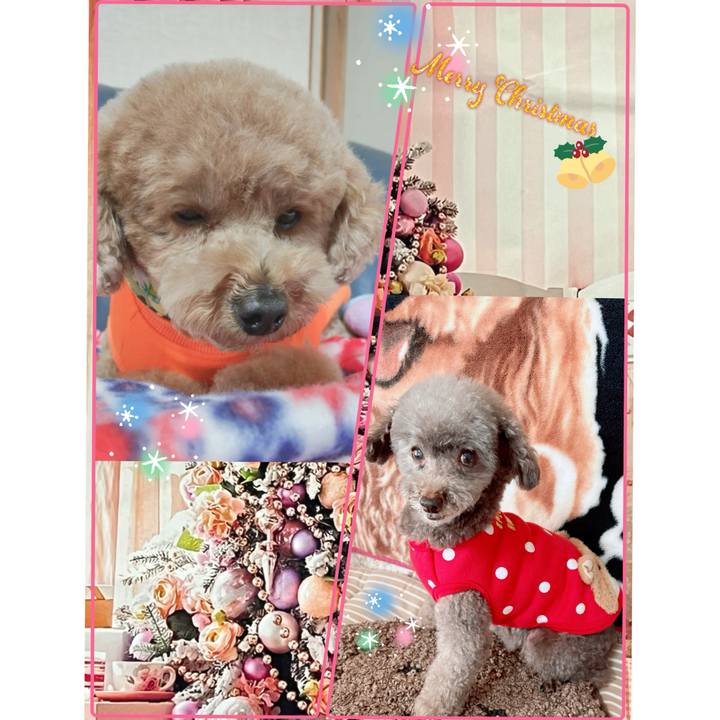 C5dd17a1 9ad2 4079 b8a0 aa0b4bcd67f9 1766668330141