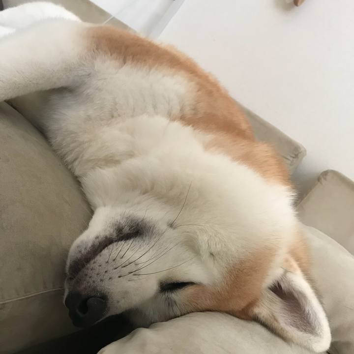 C5dd191a cbad 4fd0 8d4c 06cceb55f0a1 1515329234532