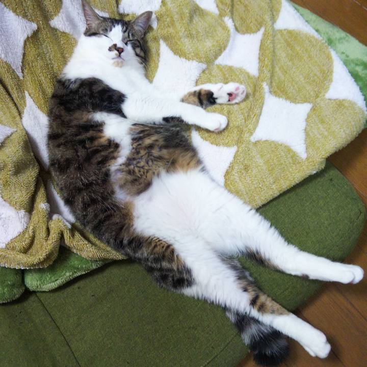 C5dd34cc ca5c 42bb b08a b4518c7bf81e 1636717461497