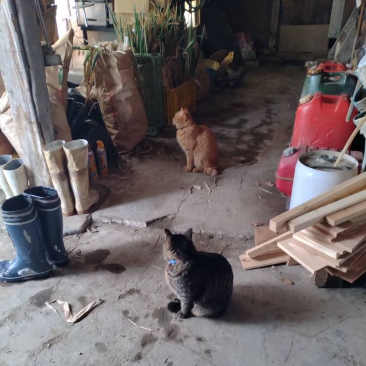 C5dd7b65 47f6 4d13 a976 7d9d2fe18f42 1671838965383