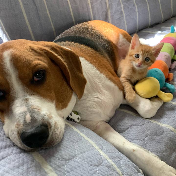 C5ddc8ff 8bc6 40d1 a656 653c23dff300 1587477562247