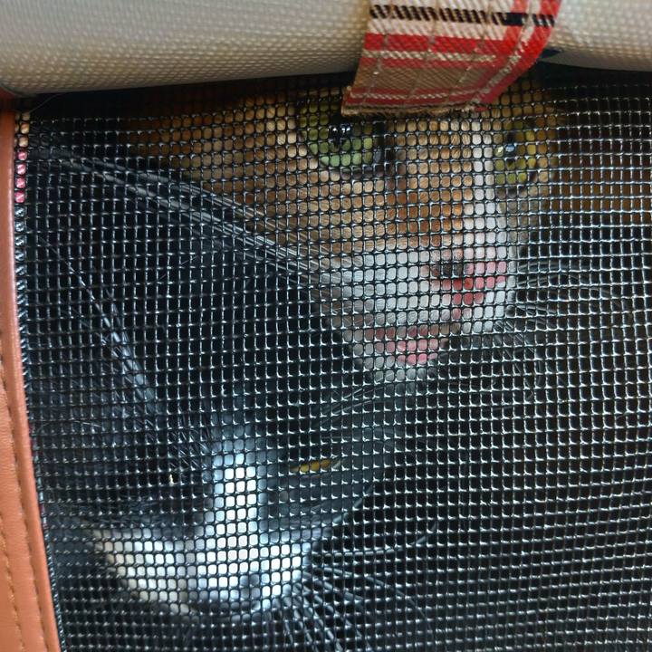 C5ddd033 7392 48bd a660 b9bae13f3940 1636676449629