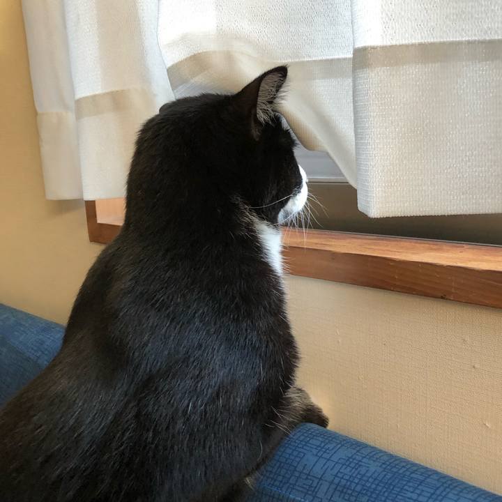 C5ddf570 0a8e 4eb3 a24b d23b179018bc 1548820323953