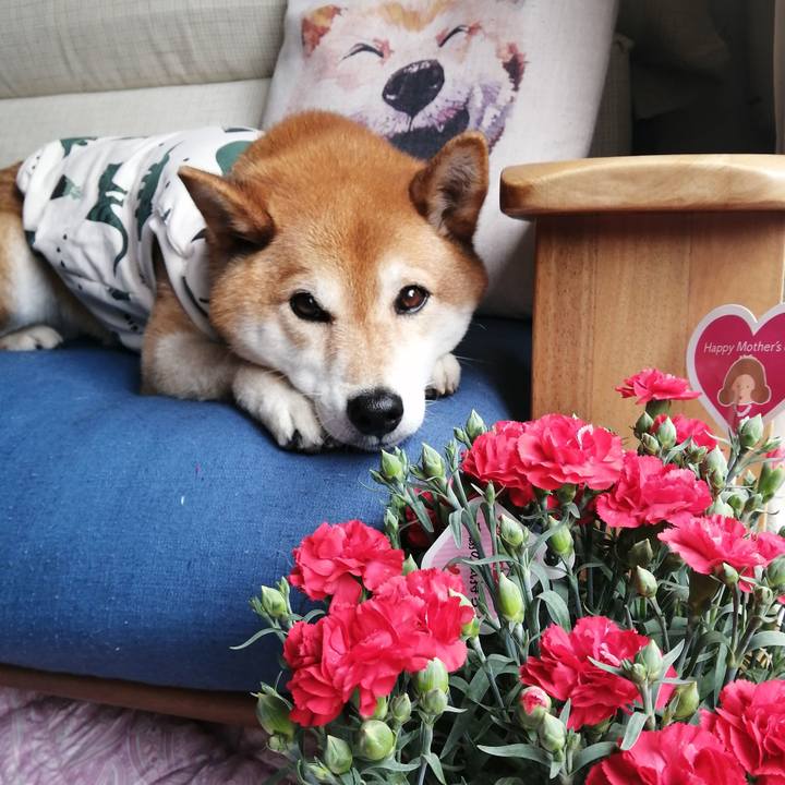 C5ddfe83 f512 42dd 8a06 ef1747f50c05 1684026765567