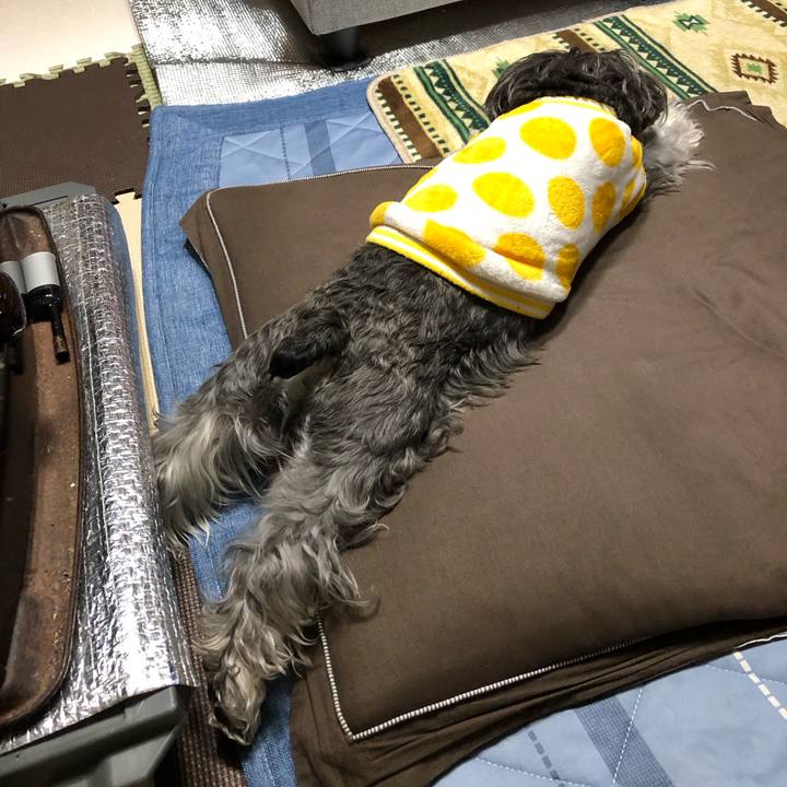 C5de1150 fa1d 492d 818f 4eac8dcf4112 1707398958097