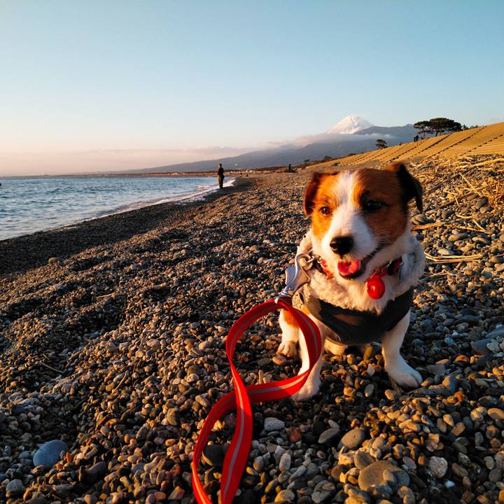 C5de1976 5df0 4743 a6e6 852d1989018c 1542875343460